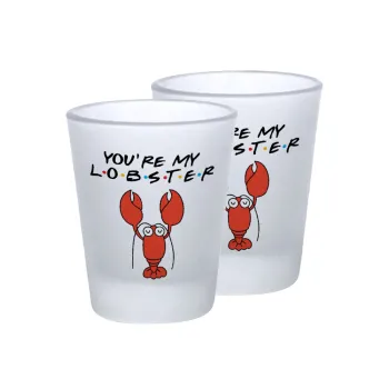 Friends you're my lobster, Σφηνοπότηρα γυάλινα 45ml του πάγου (2 τεμάχια)