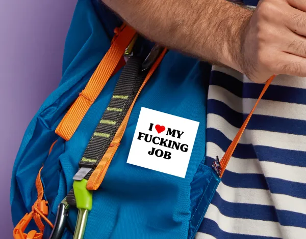 I love my fucking job — 2