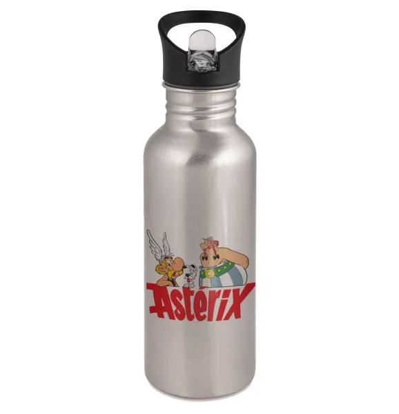 Asterix and Obelix — Παγούρι νερού Ασημένιο με καλαμάκι, ανοξείδωτο ατσάλι 600ml