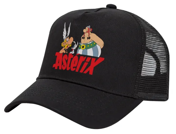 Asterix and Obelix — 1