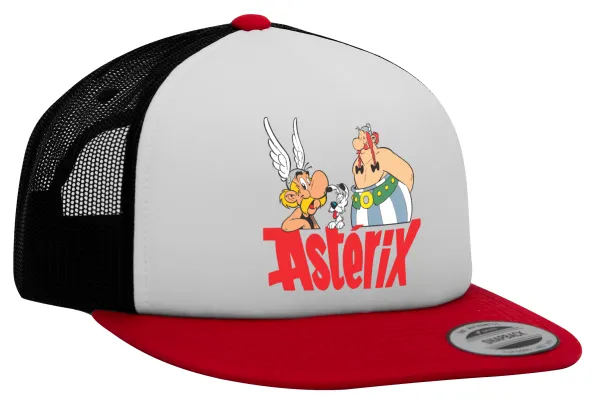 Asterix and Obelix — 1