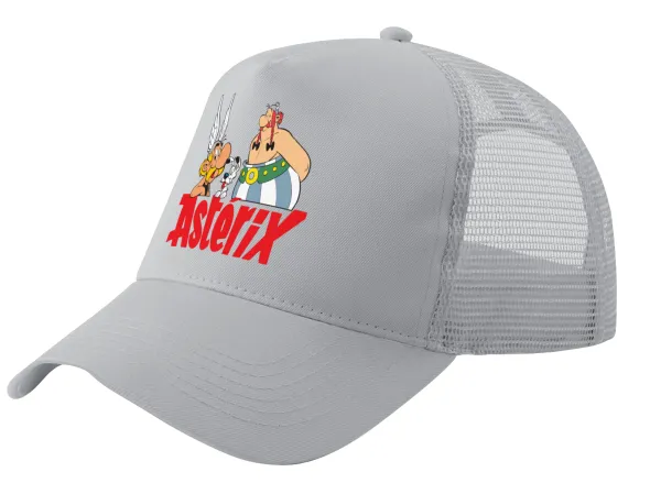 Asterix and Obelix — 1