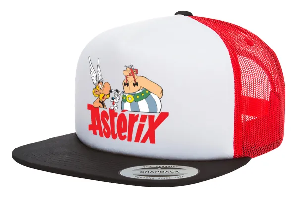 Asterix and Obelix — 1