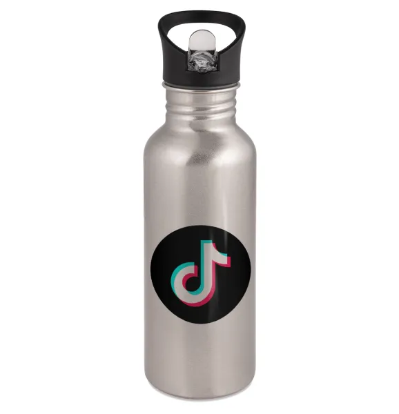 TikTok — Water bottle Silver with straw, stainless steel 600ml