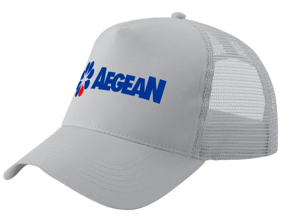 Πρατήριο καυσίμων AEGEAN — 1