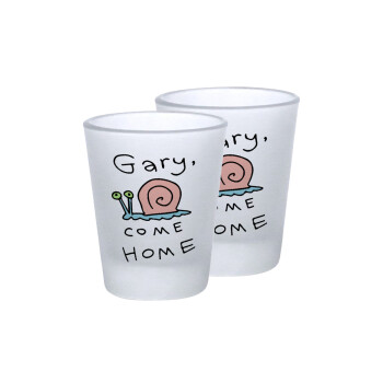 Gary come home, Σφηνοπότηρα γυάλινα 45ml του πάγου (2 τεμάχια)