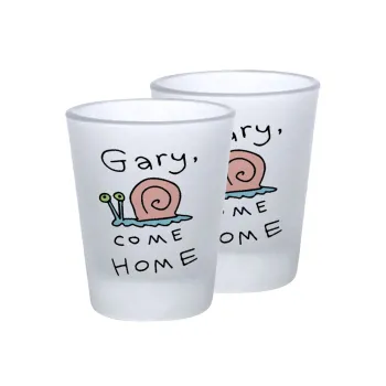 Gary come home, Σφηνοπότηρα γυάλινα 45ml του πάγου (2 τεμάχια)