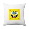 Μαξιλάρι καναπέ 40x40cm περιέχεται το  γέμισμα