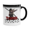  Tomb raider