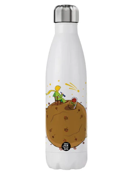The Little prince planet — 1