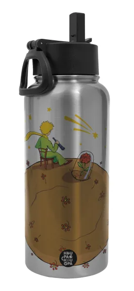The Little prince planet — 1