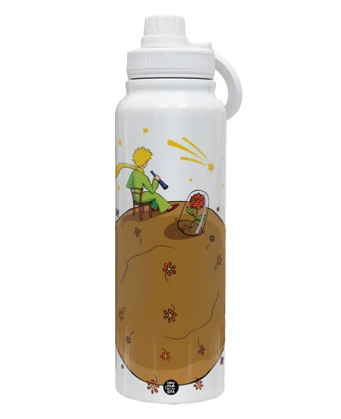 The Little prince planet — 1