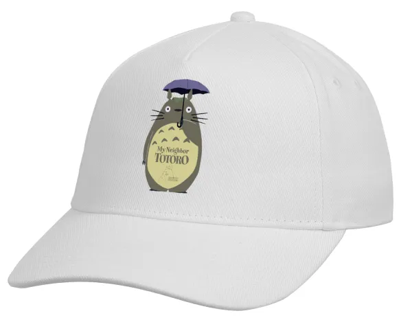 Totoro from My Neighbor Totoro — 2