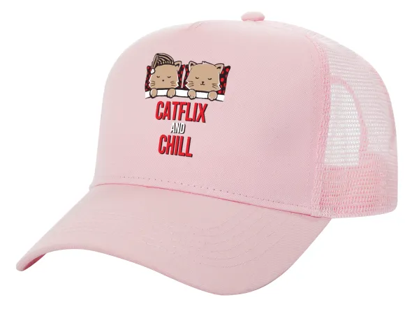 Catflix and Chill — 1
