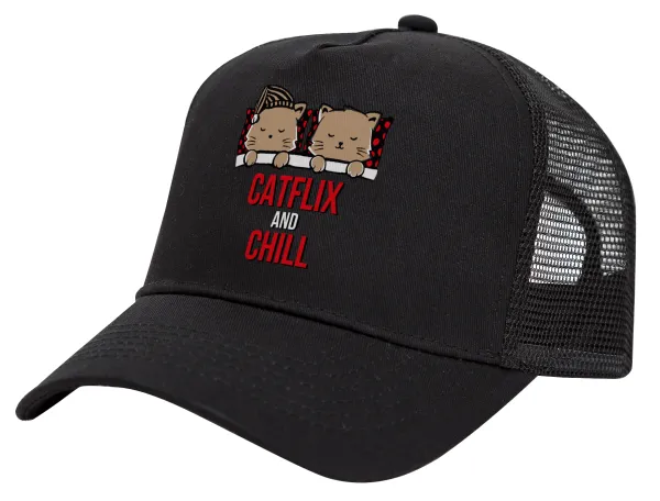 Catflix and Chill — 1