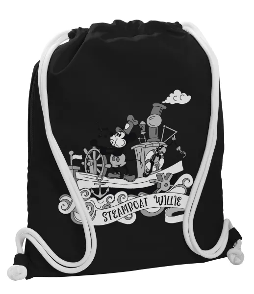 Mickey steamboat — 1