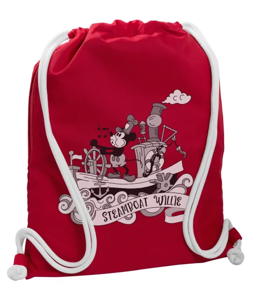 Mickey steamboat — 1