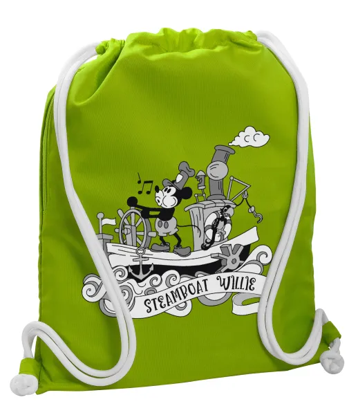 Mickey steamboat — 1