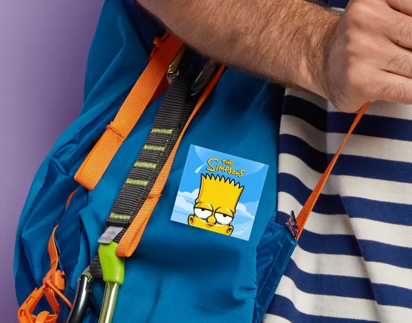 The Simpsons Bart — 2