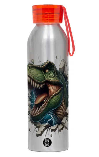 Dinosaur break wall — Αλουμινένιο Αθλητικό Μπουκάλι 650ml – Ασημί με Κόκκινο Καπάκι και Λουράκι Σιλικόνης