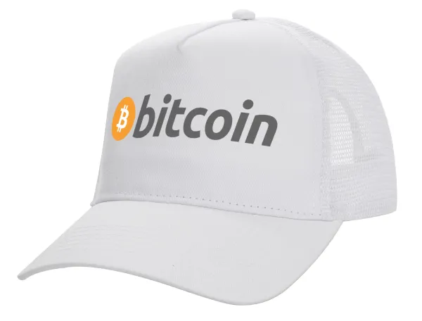Bitcoin Crypto — 1