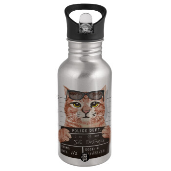 Cool cat, Water bottle Silver with straw, stainless steel 500ml