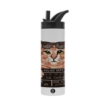 Cool cat, Metallic thermos bottle with straw & handle, stainless steel (Stainless steel 304), double-walled, 600ml.