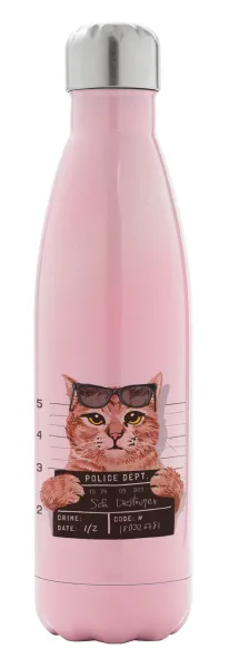 Cool cat — 1
