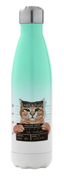Cool cat — 1