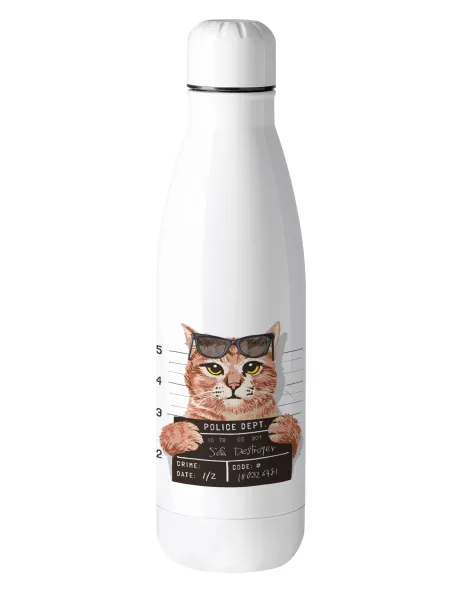 Cool cat — 1