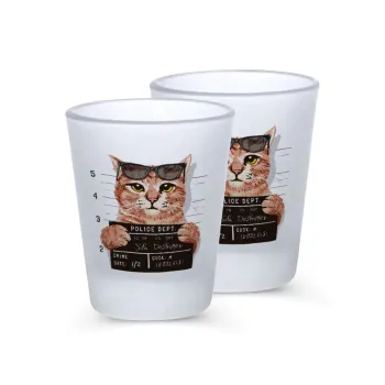 Cool cat, Σφηνοπότηρα γυάλινα 45ml του πάγου (2 τεμάχια)