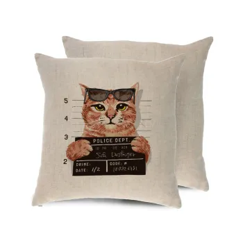 Cool cat, Μαξιλάρι καναπέ ΛΙΝΟ 40x40cm περιέχεται το  γέμισμα