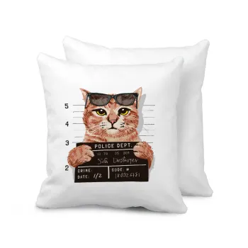 Cool cat, Sofa cushion 40x40cm includes filling