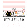 Have a nice day cats