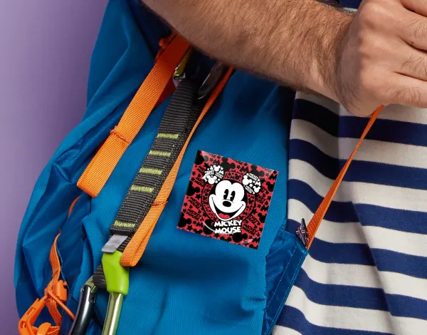 Mickey Mouse — 2