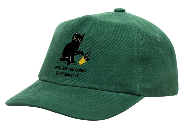CAT, what are you going to do about it! — 1