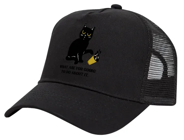 CAT, what are you going to do about it! — 1
