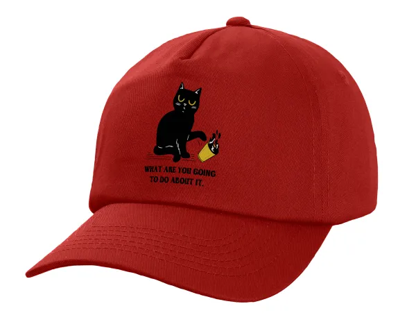 CAT, what are you going to do about it! — 1