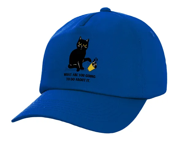 CAT, what are you going to do about it! — 1