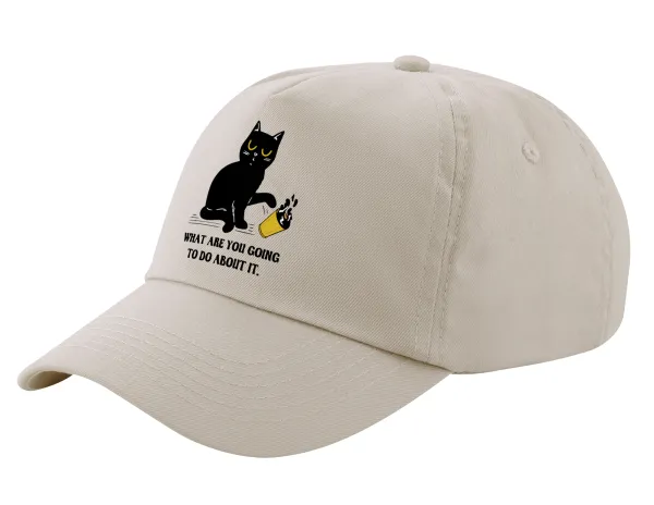 CAT, what are you going to do about it! — 1