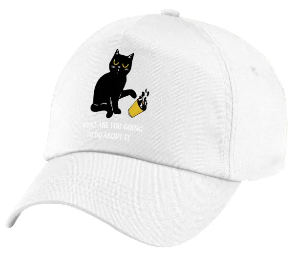 CAT, what are you going to do about it! — 1