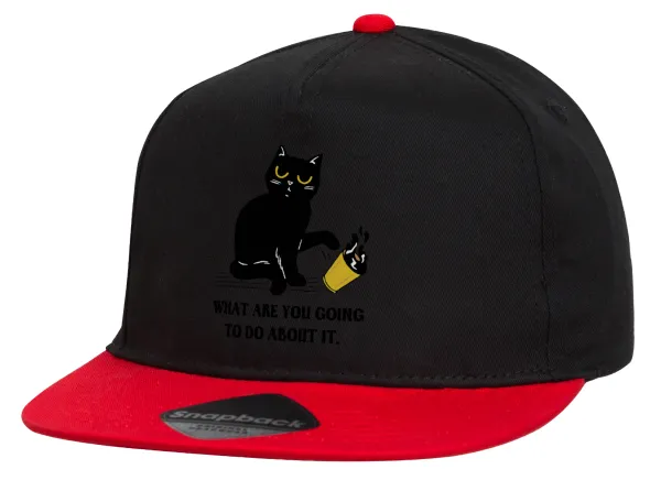 CAT, what are you going to do about it! — 1