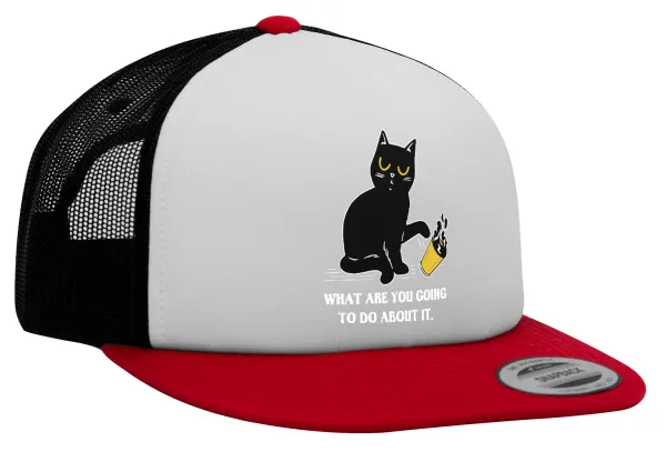 CAT, what are you going to do about it! — 1