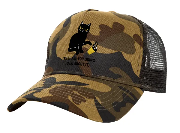 CAT, what are you going to do about it! — 1