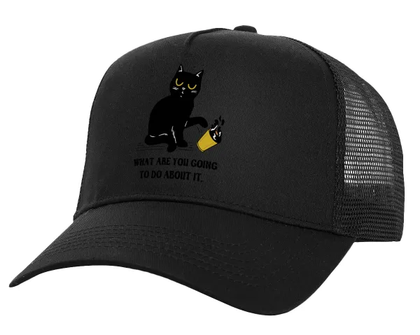 CAT, what are you going to do about it! — 1