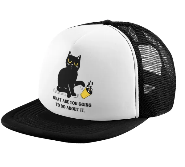 CAT, what are you going to do about it! — 1