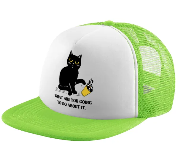 CAT, what are you going to do about it! — 1
