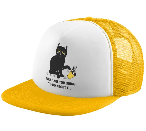 CAT, what are you going to do about it! — 1