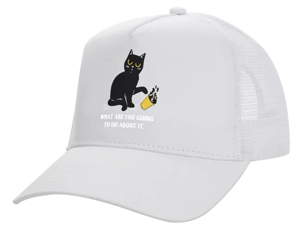 CAT, what are you going to do about it! — 1
