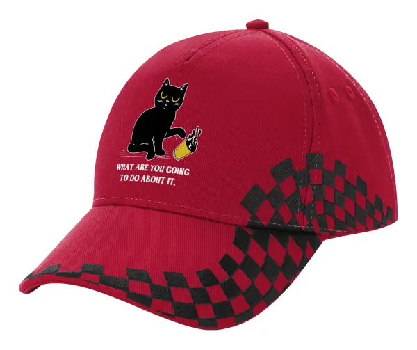 CAT, what are you going to do about it! — 1